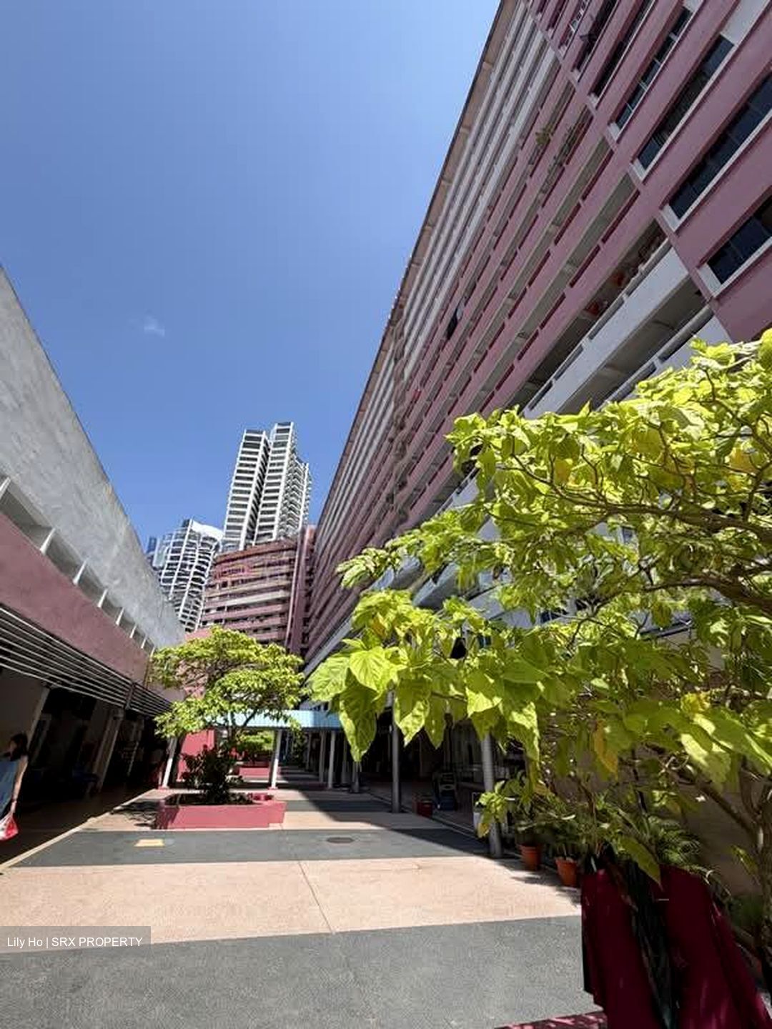 Blk 8 Farrer Gardens (Bukit Timah), HDB 3 Rooms #573382881